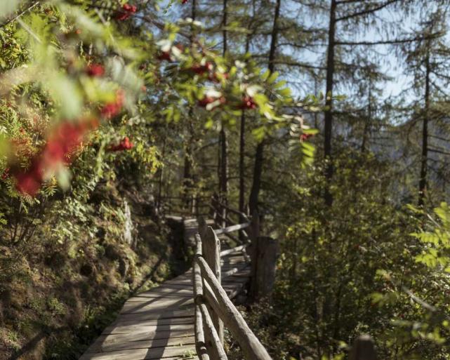 Waalwege Merano