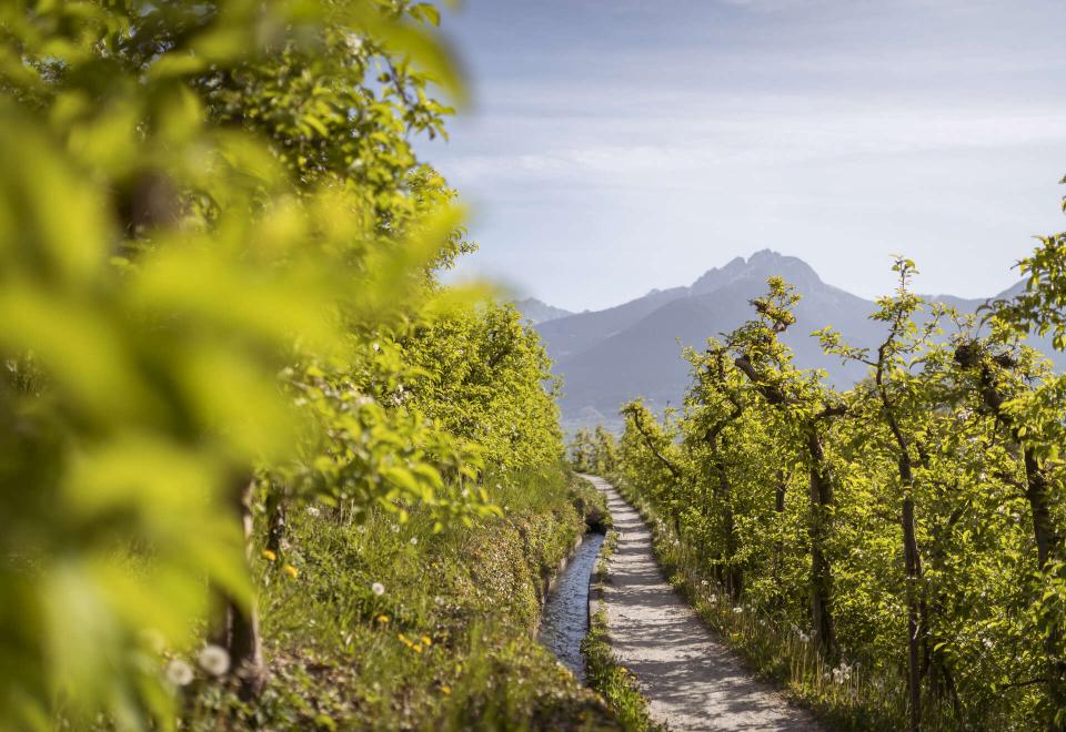 Irrigation channel around Merano